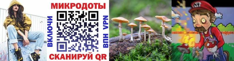 где можно купить   kraken маркетплейс  Псилоцибиновые грибы GOLDEN TEACHER  Нестеровская 